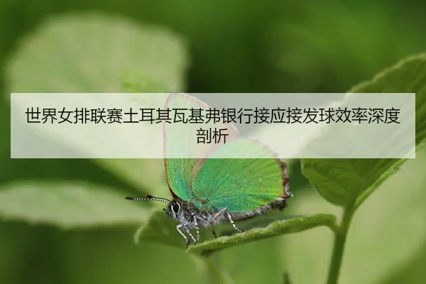 shi-jie-nv-pai-lian-sai-tu-er-qi-wa-ji-fu-yin-hang-jie-ying-jie-fa-qiu-xiao-lv-shen-du-pou-xi-3-595.jpg